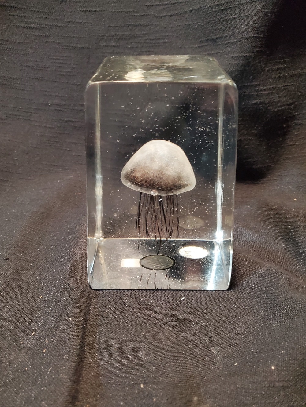 Vintage Dynasty Gallery "Lorenzo" Large Jellyfish Art Glass Paperweight -...